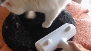 Reusable Dog Cat Pet Hair Remover / Fur Removal Roller Cleaner - For Carpets Clothes Rug Sofa Bed