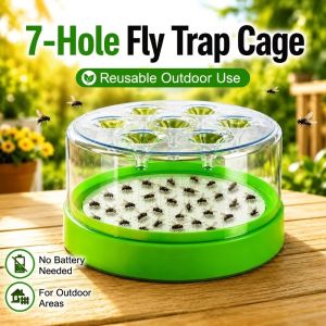 FLYING Reusable Reusable Fly Trap Durable PP Wasp Fly Trap Clear Top Green Base Bait Tray Kitchen Use