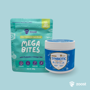 ZOOST B1T1 12 in 1 Megabites Probiotics Mushroom Powder Soft Chews for Immune Gut Energy