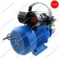 Máy Bơm Thực Phẩm 220V 450W 35L/P INOX-304. 