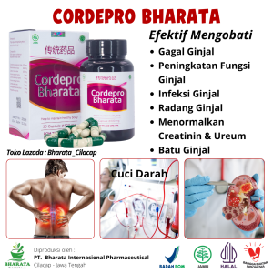 Obat Gagal Ginjal - Batu Ginjal - Radang Ginjal - Obat Cuci Darah - CORDEPRO BHARATA ORIGINAL