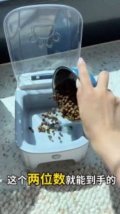 Automatic Pet Feeder Bowl with Timer Auto Open Lid Cat Dog Food Dispenser Scheduled Feeding Bowl for Home