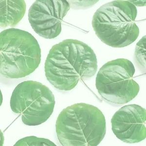 NEW NATURA BEAUTY SPRAY DENGAN DNA SALMON