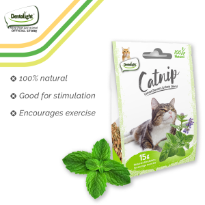 Dentalight Natural Catnip Leaves Flowers & Stem Blend 15g