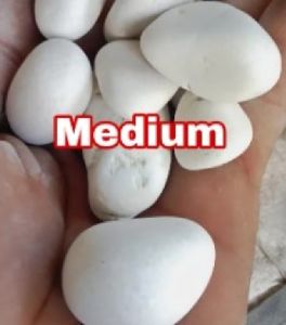 Batu putih kupang ukuran M SEDANG 1 karung berat 10kg dekorasi taman dan pot