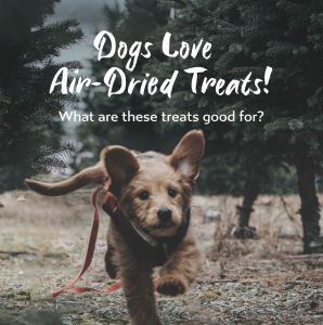 Boneve Air Dried Dog Treats | Free-Range Grass-Fed Beef Clean Tripe Cheese Chunk Venison Neck Bones Ribs Ears Goat Liver Lung Paddywhack
