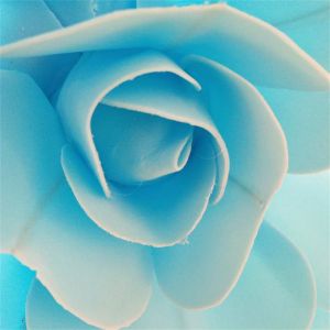 JUSTODO DIY Artificial Flat Flowers PE Foam Flowers Large Wedding Flower Wall Decor
