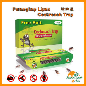 Cockroach Lipas Lizard Cicak Trap Perangkap Cockroach Insect Bait Killer 蟑螂陷阱屋 壁虎
