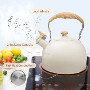 Japanese Style Whistle Boiling Kettle Stainless Steel Water Bottle Large Capacity Induction Cooker