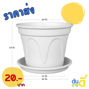 กระถาง กระถางกลม ลายย้อย+จาน ขนาด 5 นิ้ว สีดำ สีขาว สีเทา สีอิฐ Bundle 12 ใบ ชิ้น อัน