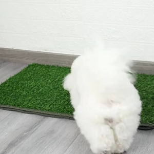 Realistic Artificial Turfs Dog Potty Grass Pad Machine Washable Dog Potty Pad for Indoor Outdoor Use