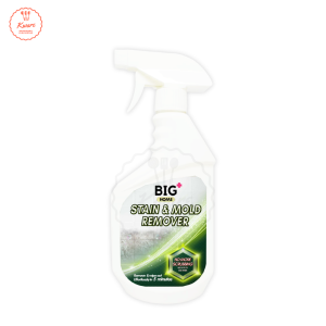 BIG+ Stain & Mold Remover (500ml) Toilet Cleaner Stain Removal Kesan Kotoran Kulat Spray Pencuci Tandas Mozek Lantai