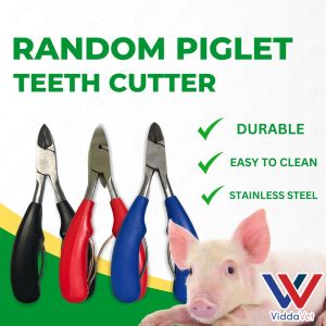 Piglet Teeth Cutter for Animals Essential Tool for Pig Farmers to Manage Newborn Piglet Teeth with Care