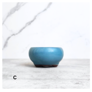 The Leaferie Bonsai Pot / Tray (Series 25) . Plant pot . Ceramic . Flowerpot .  Planter. Flower pots