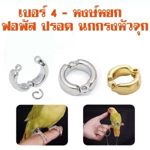ห่วงเปิดขานก ห่วงเปิด ห่วงเปิดคล้องขานก สีทองสีเงิน เบอร์ 4-15 ซม สำหรับฟอพัส เลิฟเบิร์ด คอกคาเทล