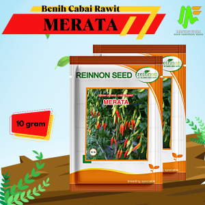 Benih Bibit Cabai Rawit Tipe Merunduk - MERATA - Reinnon Seed (10gram)