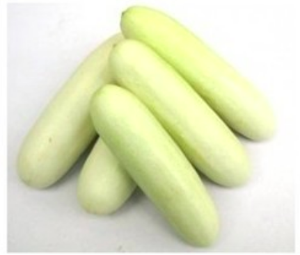 White Cucumber 3grams Batangas - Pipino Hybrid Vegetables seeds herb ...