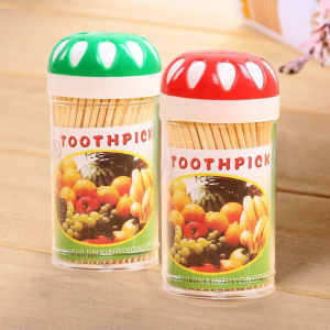 Tusuk Gigi Bambu dan Tabung Penyimpanan +-80pcs