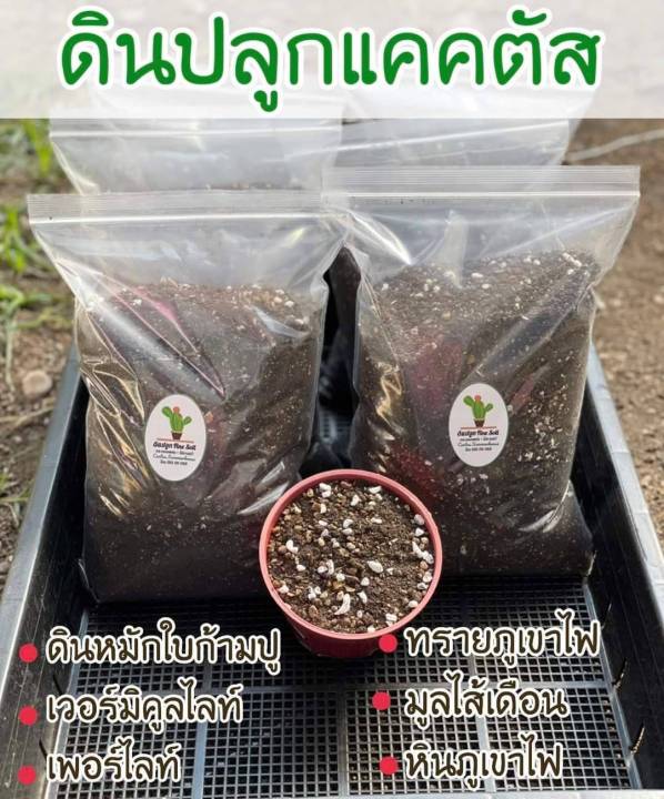 ดินปลูกแคคตัส 5 กก. ผสมมูลไส้เดือน