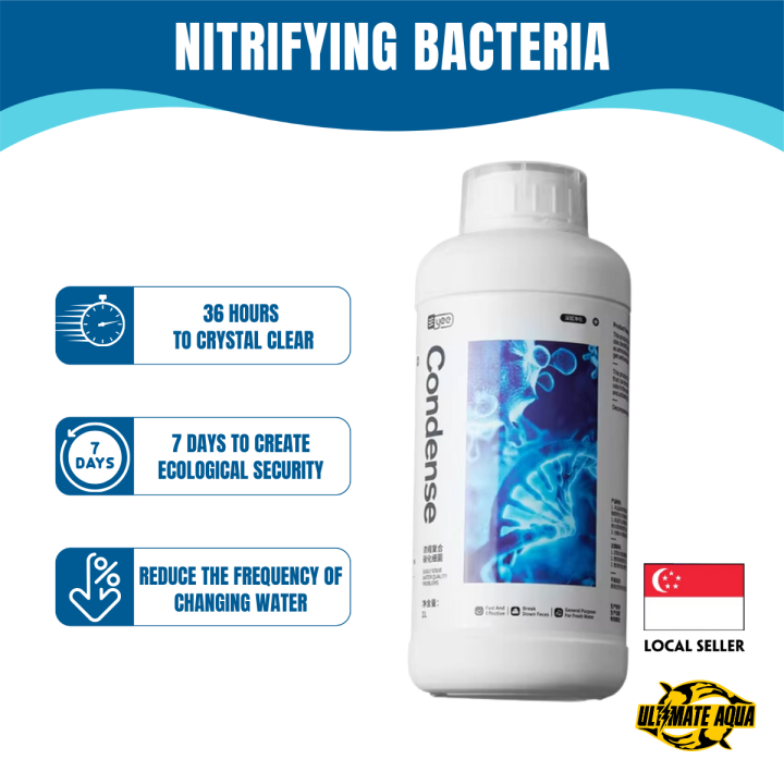Curated visual reference: Yee Aquarium Bacteria Nitrifying Bacteria Filter Media For Aquarium Photo Inspiration