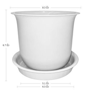 กระถาง กระถางต้นไม้ มินิมอล ถ้วยจีน+จาน ขนาด 8 นิ้ว สีขาว 10 ใบ ชิ้น อัน