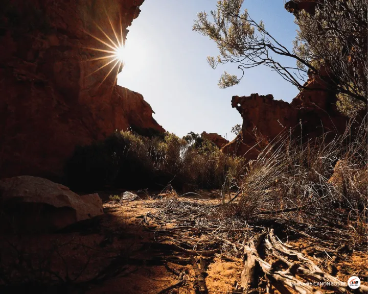 %5Bvoucher%209%25%20max%201,5tr%5D%5BGIFT-%20%C4%90%E1%BB%93ng%20H%E1%BB%93%5D%20M%C3%A1y%20%E1%BA%A3nh%20Canon%20EOS%20RP%20Body%20%20-%20Ch%C3%ADnh%20H%C3%A3ng%20L%C3%AA%20B%E1%BA%A3o%20Minh%20-%20Image%206