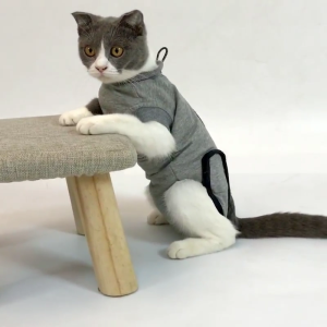 Mèo phù hợp với phục hồi thay thế cho bài phẫu thuật bảo vệ vải co giãn với Dễ sử dụng