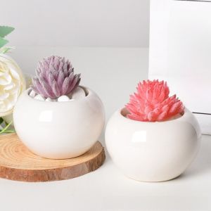 NEXTYOO 6Pcs Mini Chậu hoa cây mọng nước Hình tròn Trắng Chậu gốm sứ Lỗ thoát nước Cây trồng trong chậu Trang trí nhà cửa