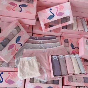 HỘP 5 QUẦN LÓT COTTON MUJI vỏ trắng nữ hàng đẹp