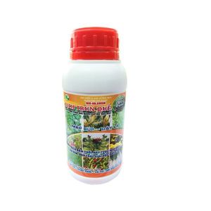 DỊCH TRÙN QUẾ 500ML/MẬP BÚP DÀY LÁ/ GIẢI ĐỘC ĐẤT