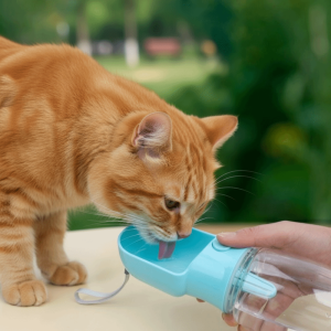 SDFSF Leak Proof Portable Pet Water Bottle Large Capacity Heat-resistant Dog Food Container 2 in 1 Design Pet Feeder Pet Travel Cup Outdoor Walking