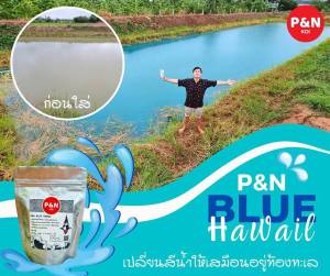 Blue Hawaii ช่วยเปลี่ยนให้เป็นน้ำสีฟ้าคราม