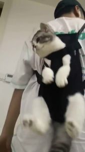 Pet Carrier Bag Dog Carrier Bag Cat Carrier Bag Front Cute Bag Carrier Outdoor Backpack Bag for Dog