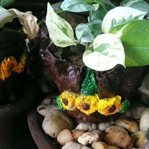 pothos njoy with&with/out pot