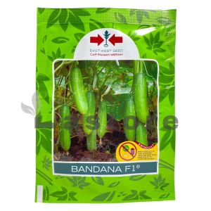 Benih Timun Mentimun BANDANA F1 Isi 800 Butir Cap Panah Merah