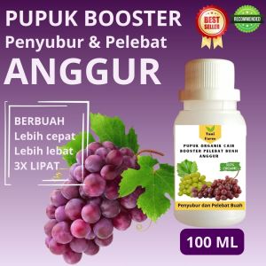 Pupuk Anggur Cepat Berbuah / Pupuk Pelebat Buah Anggur / Pupuk Booster Anggur Cair