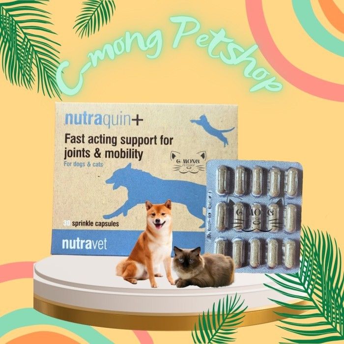Nutraquin+ Cat