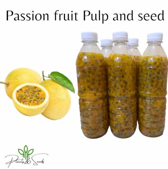 Frozen Passion Fruit Pulp and Seeds Lazada PH