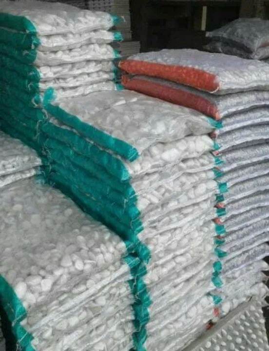 New%20Batu%20koral%20%20putih%20500gram%20/%20Batu%20taman%20/%20batu%20refleksi%20/%20Batu%20Therapy%20/%20batu%20hiasan%20pot%20/%20batu%20murah%20/%20batu%20aquarium%20/%20batu%20alam%20murah%20ready%20-%20Image%204