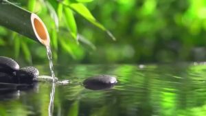 【Ship in 24H】音乐U盘  USB drive   冥想音乐U盘正念冥想增福好运·消除家庭负能量·净化气场和空间3.10