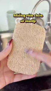 Set 2 Miếng Rửa Chén Xơ Mướp Khô Tự Nhiên - Miếng Chà Rửa Bát Đĩa Chống Bám Dầu Mỡ