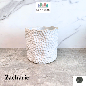 The Leaferie Zacharie plant pots. flowerpot . flowerpots . flower pot . planter . planters . Ceramic. Plants