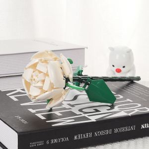 Mainan Bunga Buket Mawar Merah Blok Bangunan DIY Kreatif Untuk Mainan Anak Perempuan