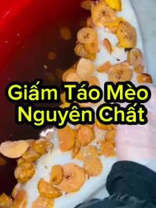 1L Giấm Táo Mèo Tây Bắc Nguyên Chất Lên Men Tự Nhiên Chua Dịu Dễ Uống