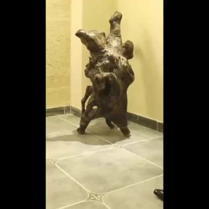 Giày nam mới mùa xuân và mùa thu giày công sở chính thức thoáng khí phong cách Anh cho giới trẻ giày ba khớp chống trượt bền bỉ giày văn phòng