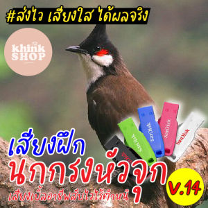 แฟลชไดร์ฟเสียงฝึกนกกรงหัวจุก เสียงเพราะ เสียงเบิ้ลอาชีพสับไวไร้ตําหนิเสียงฝึกนกกรงหัวจุก เสียงเพราะ เสียงเบิ้ลอาชีพสับไวไร้ตําหนิ