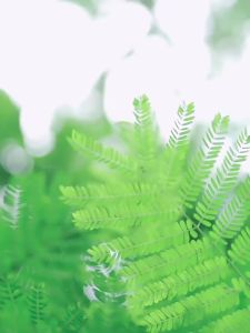 Pisen In-Ear Original Earphones 3.5mm Earplugs suitable for vivo Mobile Phone x9x7 Huawei 6 Xiaomi oppo