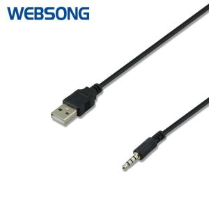 Kabel Audio 3.5mm Male to USB Male 30CM Websong