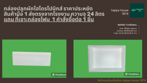 กล่องแช่อาหารทะเลและกล่องปลูกผักไฮโดรโปนิกส์ น้ำนิ่งราคาประหยัด  ความจุ 10 กิโล ทรงแบน  แถม ที่เจาะกล่องโฟม  1 คำสั่งซื้อต่อ 1 ชิ้น