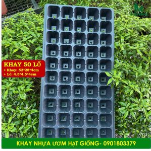 Combo 5 Khay Nhựa Vĩ Nhựa Ươm Hạt Loại Tốt Loại 32 50 72 105 Lổ